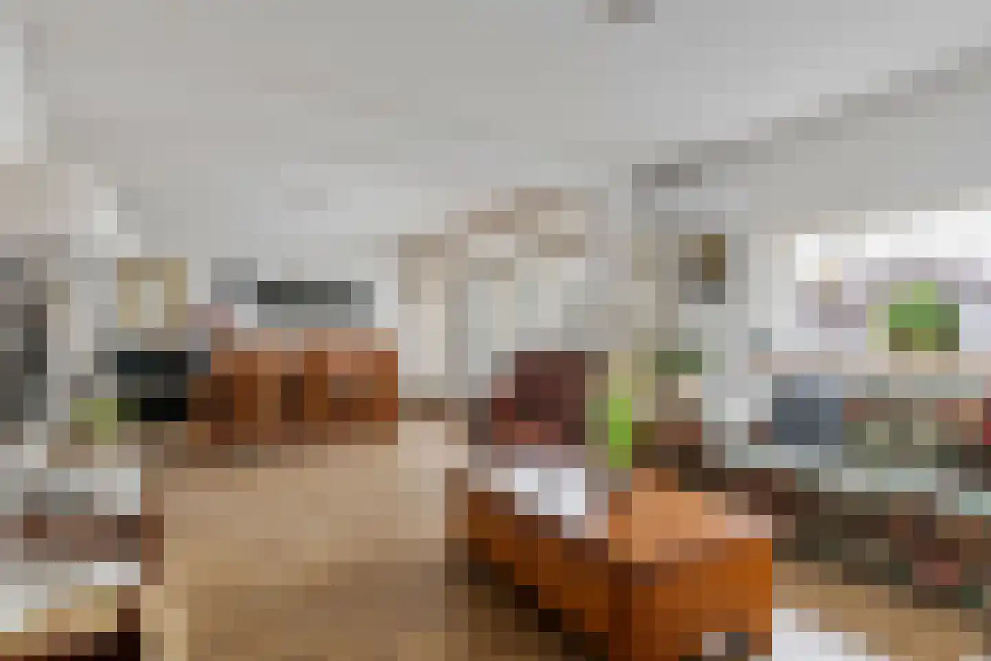 Adelsweg 14 Lienden thumbnail 7