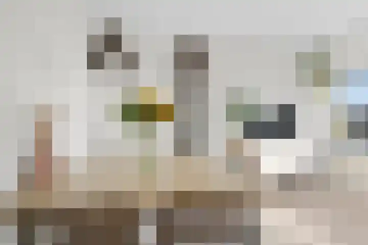 Adenauerlaan 125 Utrecht thumbnail 10