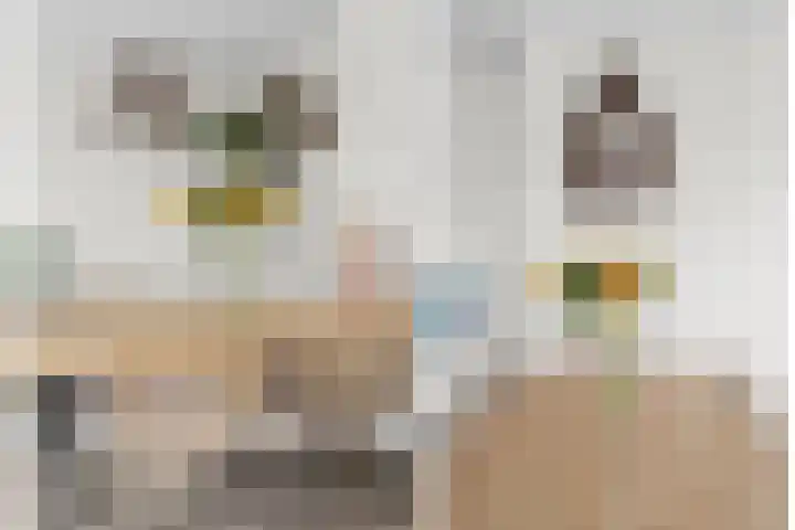 Adenauerlaan 125 Utrecht thumbnail 11