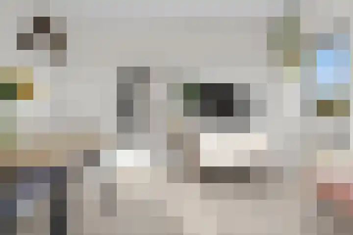 Adenauerlaan 125 Utrecht thumbnail 14