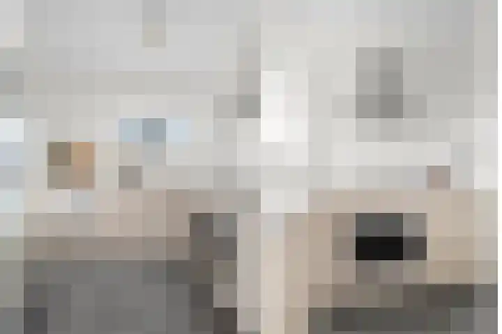 Adenauerlaan 125 Utrecht thumbnail 19