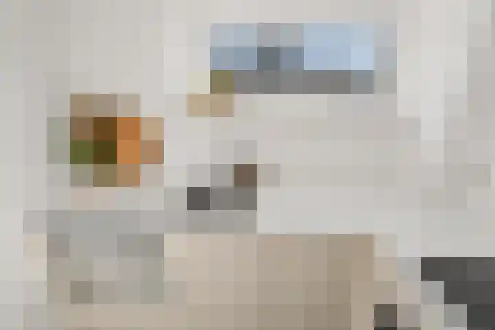 Adenauerlaan 125 Utrecht thumbnail 20
