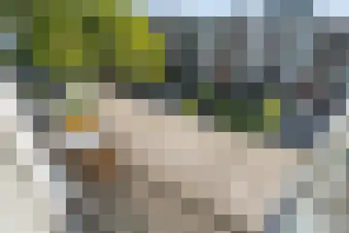 Adenauerlaan 125 Utrecht thumbnail 29