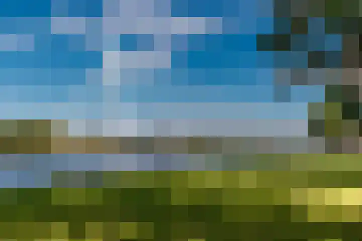 Adenauerlaan 125 Utrecht thumbnail 34