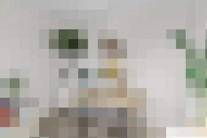 Adenauerlaan 125 Utrecht thumbnail 9