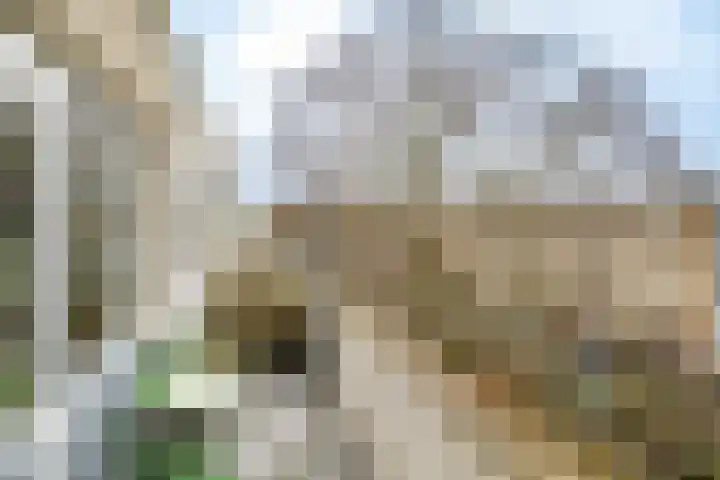 Adenauerlaan 127 Utrecht thumbnail 10