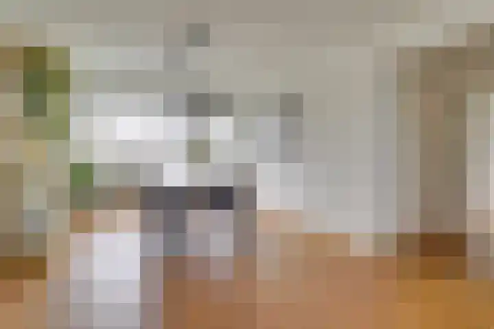 Adenauerlaan 127 Utrecht thumbnail 18