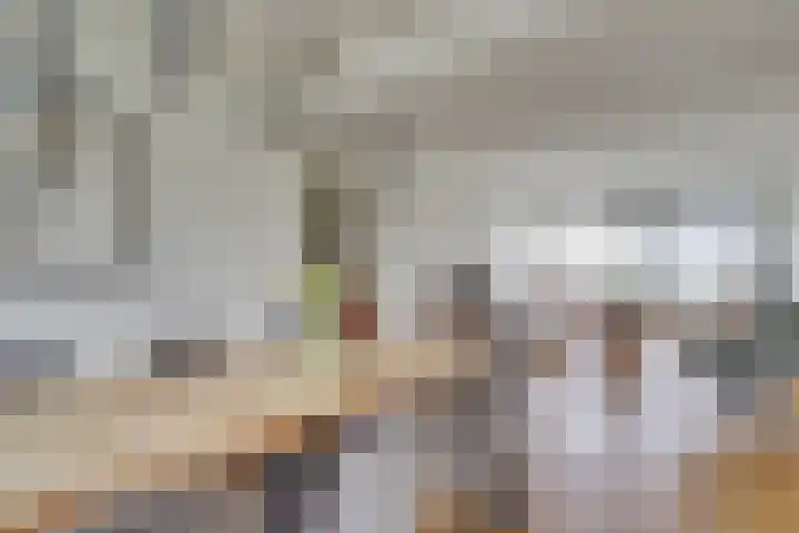 Adenauerlaan 127 Utrecht thumbnail 20