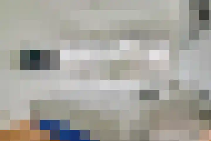 Adenauerlaan 127 Utrecht thumbnail 29