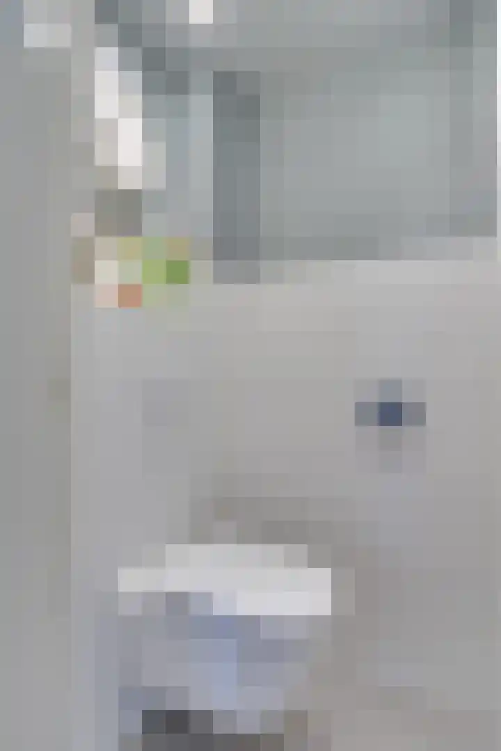 Adenauerlaan 127 Utrecht thumbnail 35