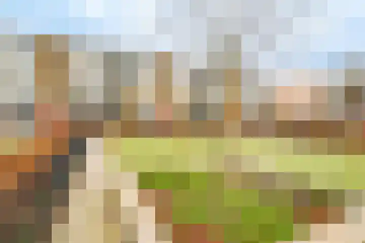 Adenauerlaan 127 Utrecht thumbnail 36