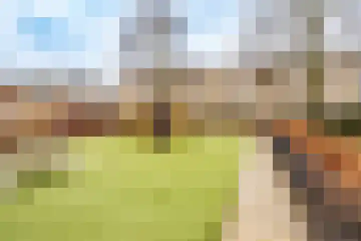 Adenauerlaan 127 Utrecht thumbnail 37