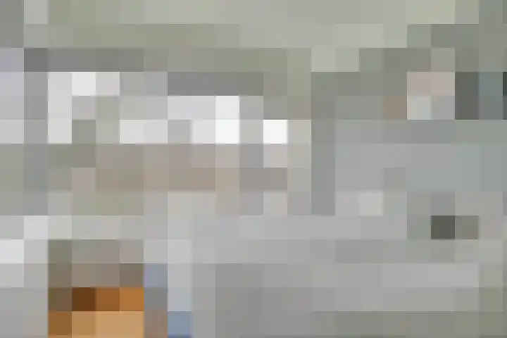Adenauerlaan 127 Utrecht thumbnail 4