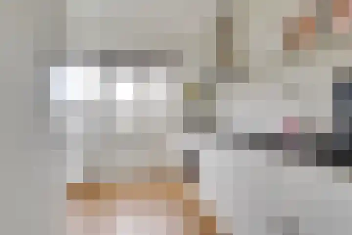 Adenauerlaan 127 Utrecht thumbnail 8