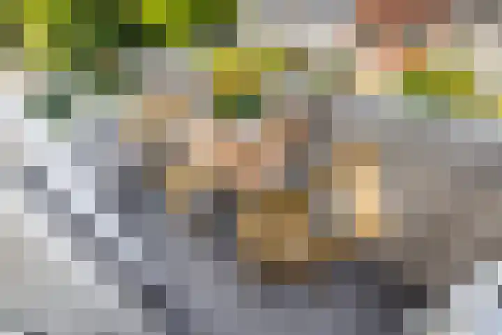 Adenauerlaan 15 Utrecht thumbnail 12