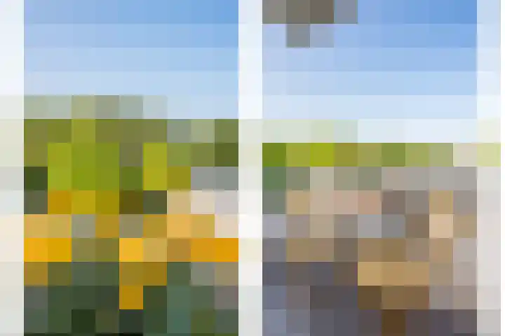 Adenauerlaan 15 Utrecht thumbnail 15