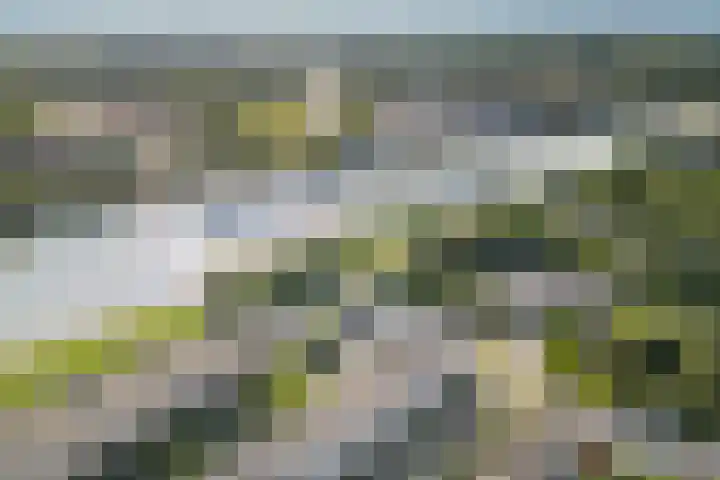 Adenauerlaan 15 Utrecht thumbnail 35