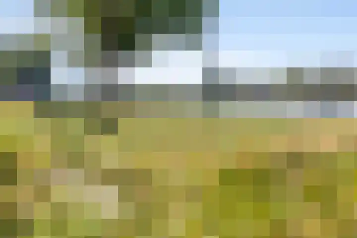 Adenauerlaan 15 Utrecht thumbnail 44