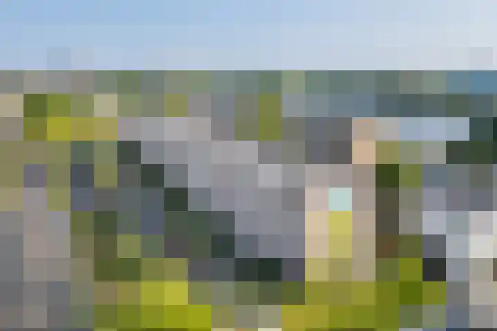 Adenauerlaan 15 Utrecht thumbnail 47
