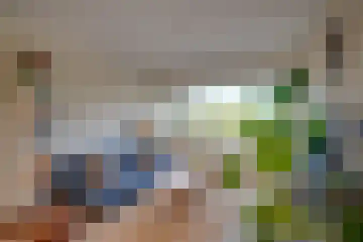 Adenauerlaan 19 Utrecht thumbnail 12