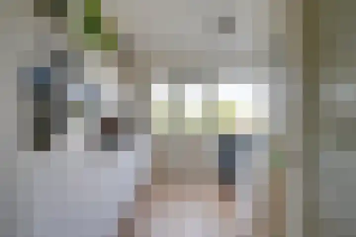 Adenauerlaan 19 Utrecht thumbnail 19