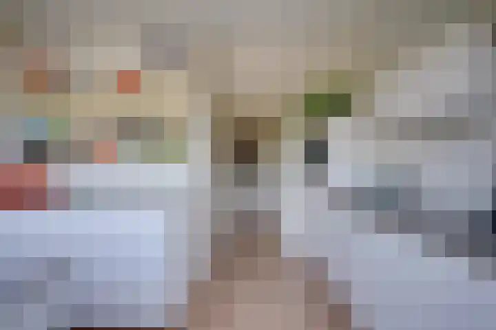 Adenauerlaan 19 Utrecht thumbnail 20