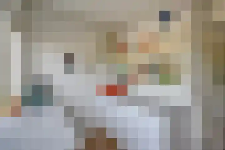 Adenauerlaan 19 Utrecht thumbnail 21