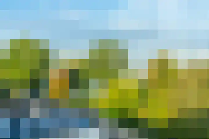 Adenauerlaan 19 Utrecht thumbnail 25