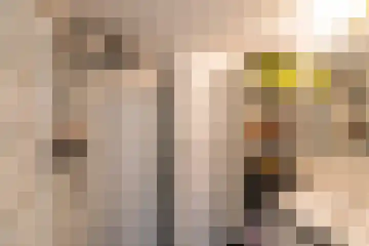 Adenauerlaan 19 Utrecht thumbnail 30