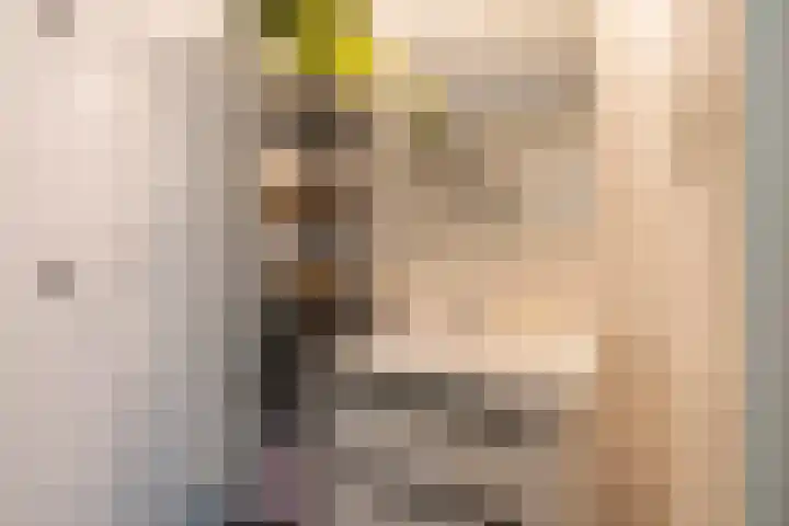 Adenauerlaan 19 Utrecht thumbnail 31