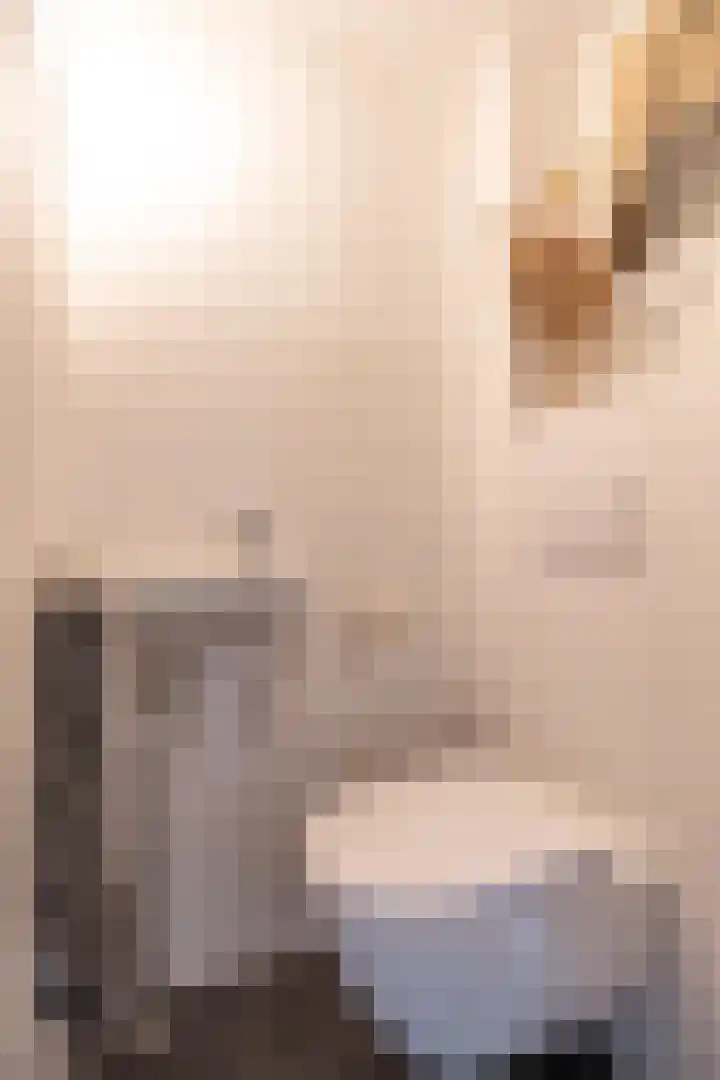 Adenauerlaan 19 Utrecht thumbnail 32
