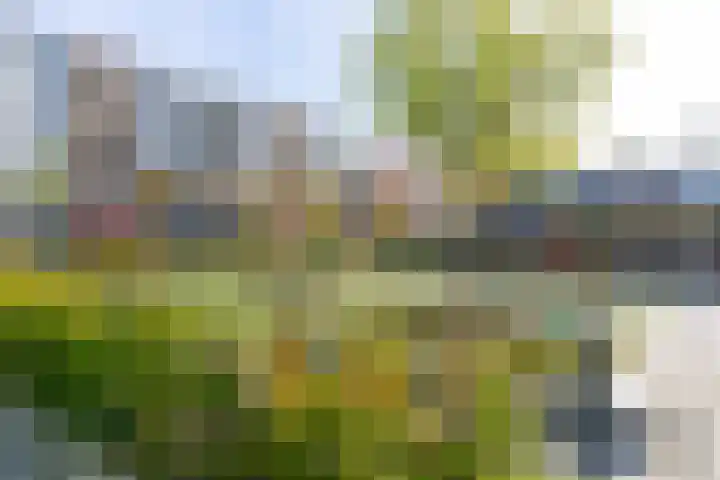Adenauerlaan 19 Utrecht thumbnail 34