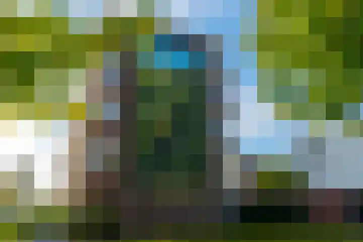 Adenauerlaan 19 Utrecht thumbnail 5