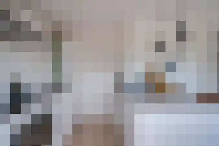 Adenauerlaan 23 Utrecht thumbnail 14