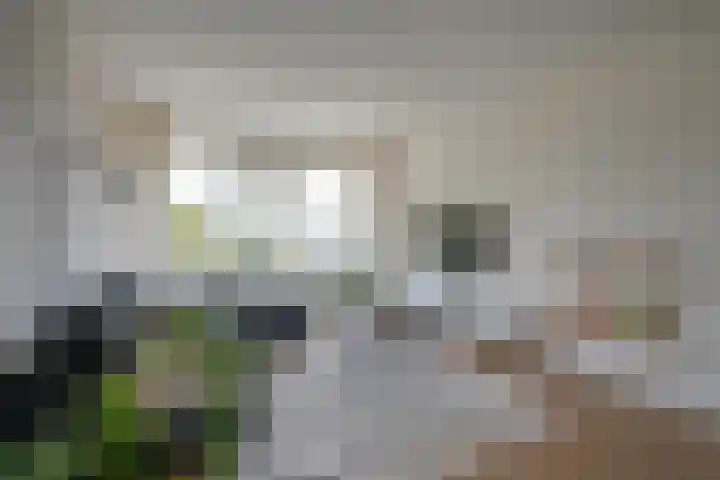 Adenauerlaan 23 Utrecht thumbnail 8