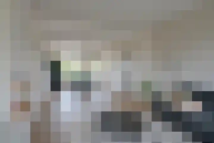 Adenauerlaan 23 Utrecht thumbnail 9