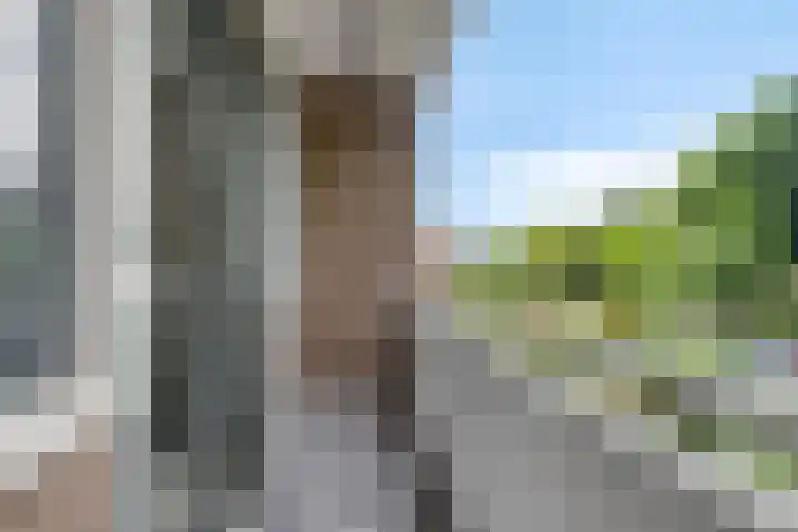 Adenauerlaan 268 Utrecht thumbnail 20