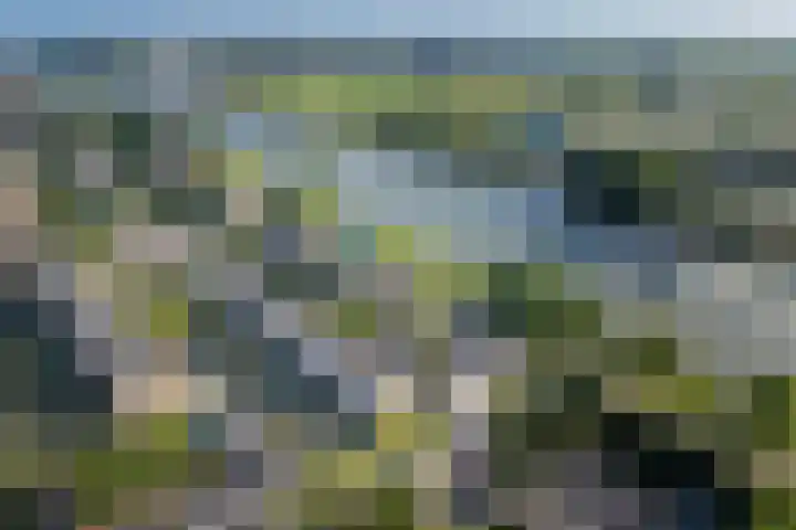 Adenauerlaan 268 Utrecht thumbnail 39