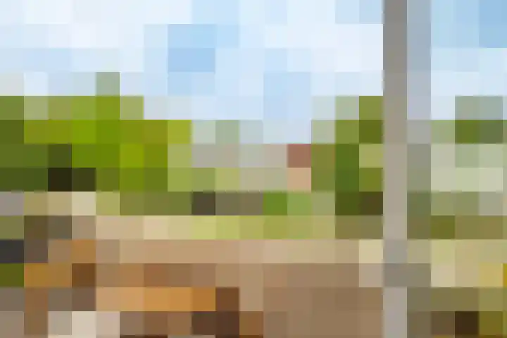 Adenauerlaan 3 Utrecht thumbnail 13