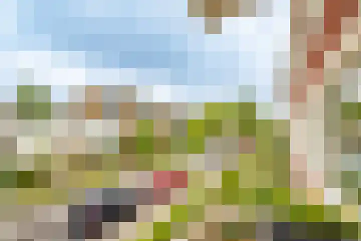 Adenauerlaan 3 Utrecht thumbnail 14