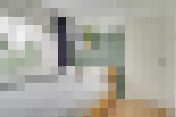 Adenauerlaan 3 Utrecht thumbnail 20
