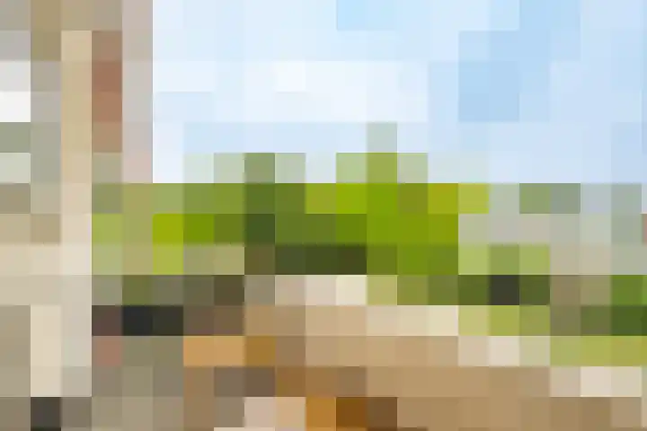 Adenauerlaan 3 Utrecht thumbnail 4