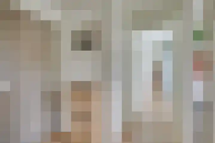 Adenauerlaan 3 Utrecht thumbnail 6