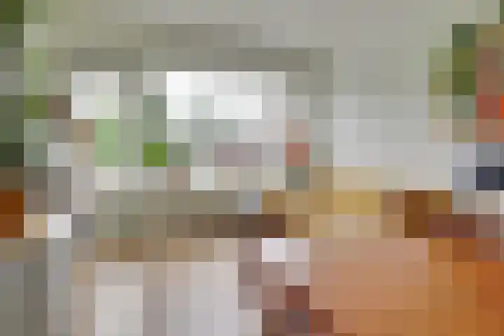 Adenauerlaan 3 Utrecht thumbnail 9