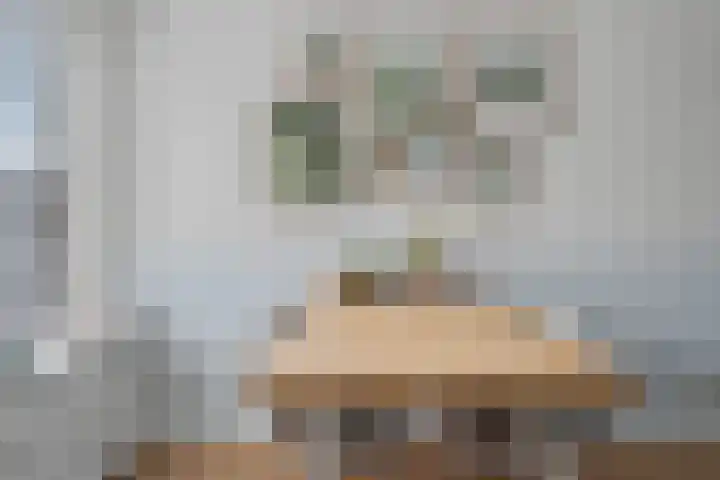 Adenauerlaan 33 Utrecht thumbnail 15