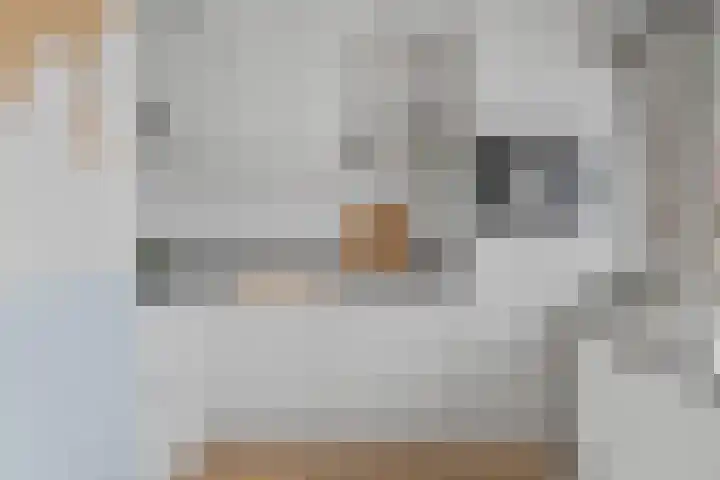 Adenauerlaan 33 Utrecht thumbnail 17