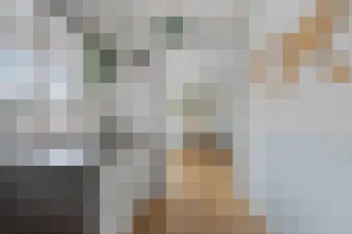 Adenauerlaan 33 Utrecht thumbnail 20