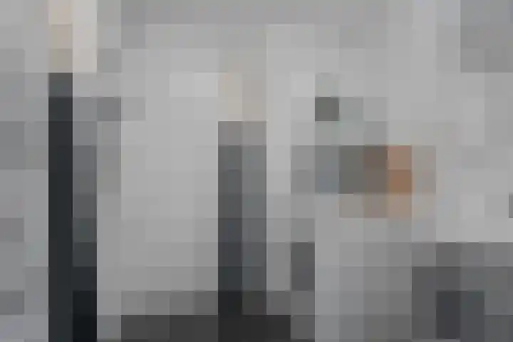 Adenauerlaan 33 Utrecht thumbnail 28