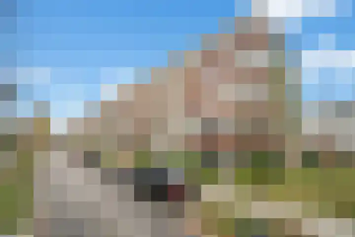 Adenauerlaan 33 Utrecht thumbnail 35