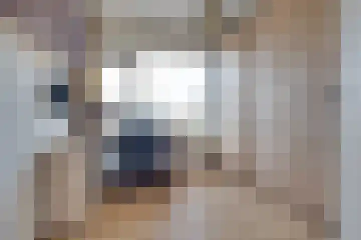 Adenauerlaan 45 Utrecht thumbnail 21